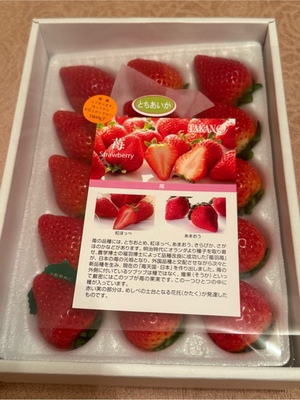 ふじのの写メ日記｜シャトーペトラ 吉原大衆店ソープ