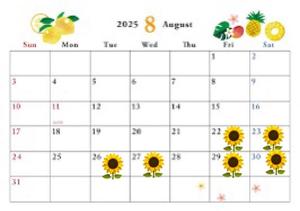 詩音の写メ日記｜シャトーペトラ 吉原大衆店ソープ