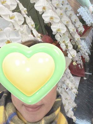 詩音の写メ日記｜シャトーペトラ 吉原大衆店ソープ