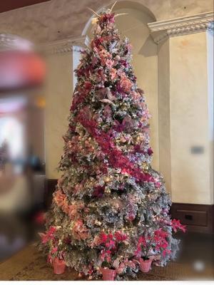 詩音の写メ日記｜シャトーペトラ 吉原大衆店ソープ