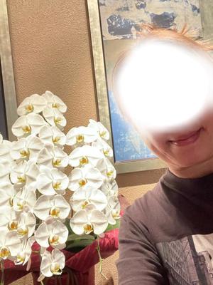 詩音の写メ日記｜シャトーペトラ 吉原大衆店ソープ