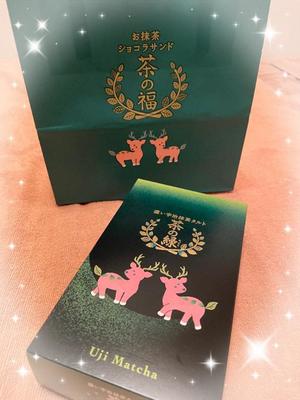 詩音の写メ日記｜シャトーペトラ 吉原大衆店ソープ