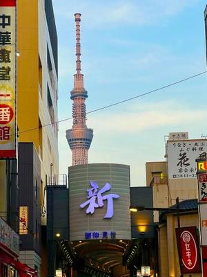 茜の写メ日記｜シャトーペトラ 吉原大衆店ソープ