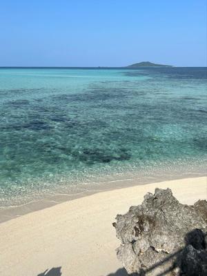 茜の写メ日記｜シャトーペトラ 吉原大衆店ソープ