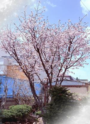 りょうの写メ日記｜クラブ貴公子 吉原大衆店ソープ