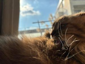 ひなみの写メ日記｜クラブ貴公子 吉原大衆店ソープ