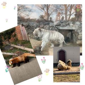 るりの写メ日記｜クラブ貴公子 吉原大衆店ソープ