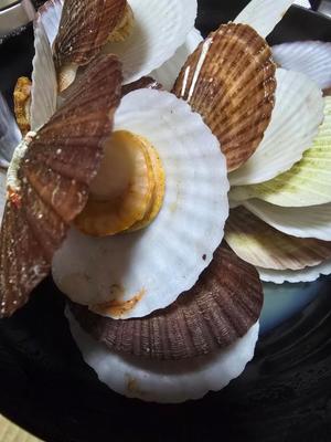 おとはの写メ日記｜クラブ貴公子 吉原大衆店ソープ