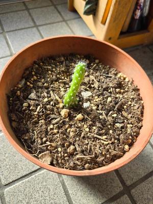 りおなの写メ日記｜クラブ貴公子 吉原大衆店ソープ