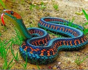 カヲルの写メ日記｜クラブ貴公子 吉原大衆店ソープ