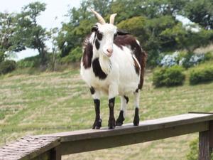 カヲルの写メ日記｜クラブ貴公子 吉原大衆店ソープ