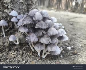 カヲルの写メ日記｜クラブ貴公子 吉原大衆店ソープ