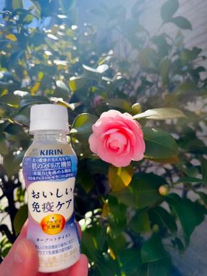 瑞穂の写メ日記｜クラブ貴公子 吉原大衆店ソープ