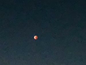 莉嘉の写メ日記｜クラブオアシス 吉原大衆店ソープ