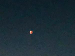 莉嘉の写メ日記｜クラブオアシス 吉原大衆店ソープ