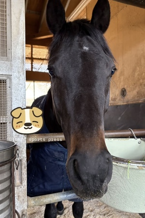 莉嘉の写メ日記｜クラブオアシス 吉原大衆店ソープ
