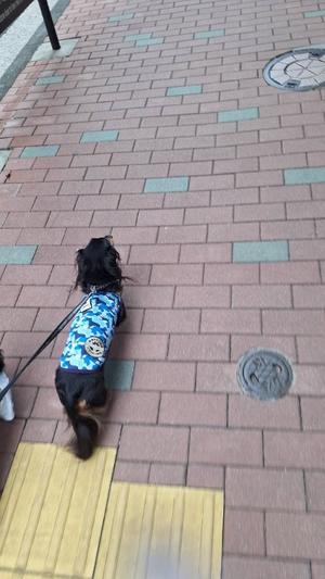 りこの写メ日記｜クラブオアシス 吉原大衆店ソープ