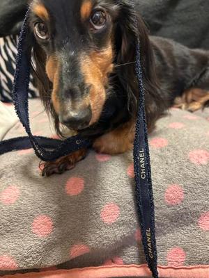 りこの写メ日記｜クラブオアシス 吉原大衆店ソープ