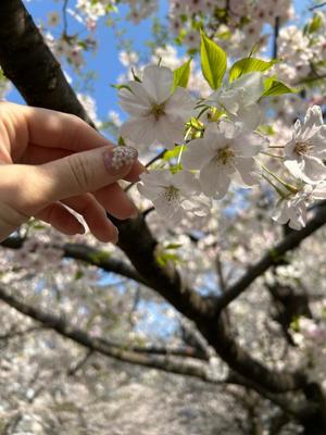 りこの写メ日記｜クラブオアシス 吉原大衆店ソープ