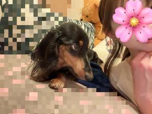 りこの写メ日記｜クラブオアシス 吉原大衆店ソープ