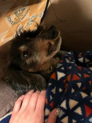 りこの写メ日記｜クラブオアシス 吉原大衆店ソープ