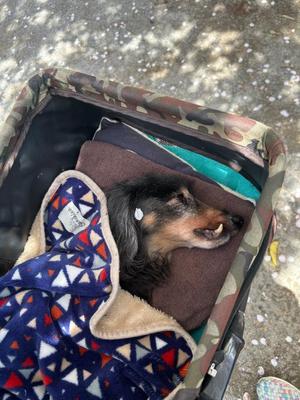 りこの写メ日記|クラブオアシス 吉原大衆店ソープ