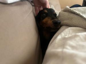 りこの写メ日記｜クラブオアシス 吉原大衆店ソープ