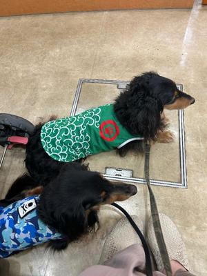 りこの写メ日記｜クラブオアシス 吉原大衆店ソープ