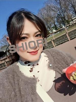 しおりの写メ日記｜クラブオアシス 吉原大衆店ソープ