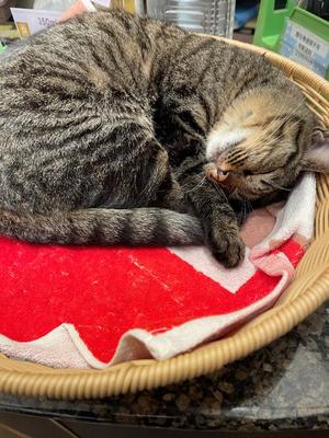 ふうの写メ日記｜クラブオアシス 吉原大衆店ソープ