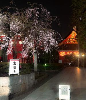 ほのかの写メ日記|クラブオアシス 吉原大衆店ソープ