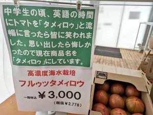 みわの写メ日記｜クラブオアシス 吉原大衆店ソープ