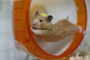 みわの写メ日記｜クラブオアシス 吉原大衆店ソープ