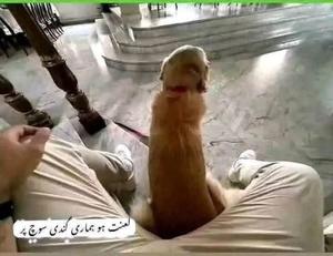 みわの写メ日記｜クラブオアシス 吉原大衆店ソープ