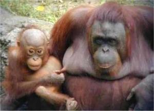 みわの写メ日記｜クラブオアシス 吉原大衆店ソープ