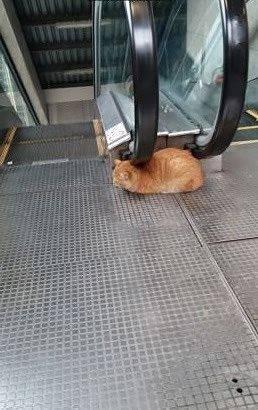 みわの写メ日記｜クラブオアシス 吉原大衆店ソープ