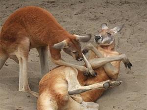 みわの写メ日記｜クラブオアシス 吉原大衆店ソープ