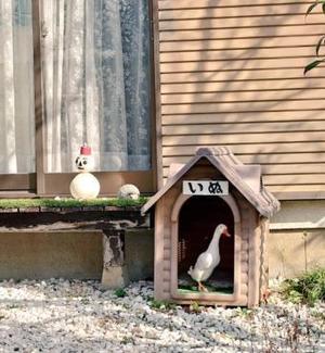 みわの写メ日記｜クラブオアシス 吉原大衆店ソープ