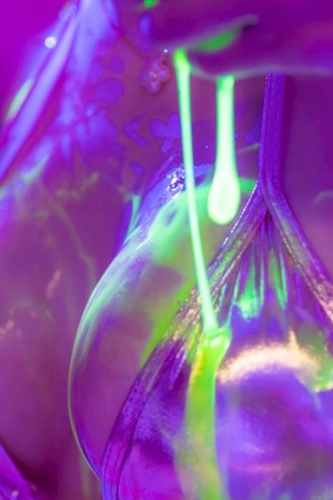 まなの写メ日記｜コルドンブルー 吉原高級店ソープ