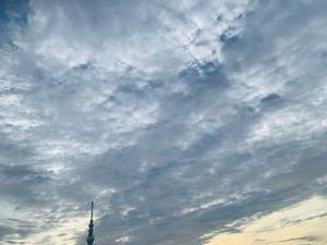 一ノ瀬　あやこの写メ日記｜エル・カーヒル 秘密の刻 川崎高級店ソープ