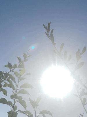 一ノ瀬　あやこの写メ日記｜エル・カーヒル 秘密の刻 川崎高級店ソープ