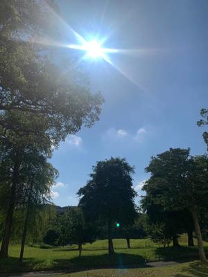 一ノ瀬　あやこの写メ日記｜エル・カーヒル 秘密の刻 吉原高級店ソープ