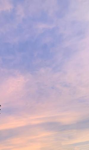 一ノ瀬　あやこの写メ日記｜エル・カーヒル 秘密の刻 吉原高級店ソープ