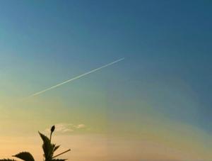 一ノ瀬　あやこの写メ日記｜エル・カーヒル 秘密の刻 吉原高級店ソープ