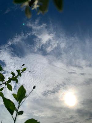 一ノ瀬　あやこの写メ日記｜エル・カーヒル 秘密の刻 吉原高級店ソープ