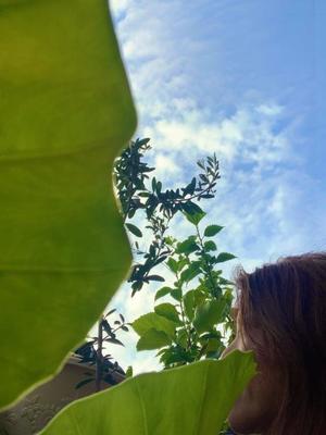 一ノ瀬　あやこの写メ日記｜エル・カーヒル 秘密の刻 吉原高級店ソープ