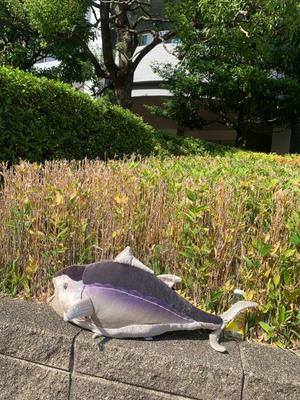 一ノ瀬　あやこの写メ日記｜エル・カーヒル 秘密の刻 吉原高級店ソープ