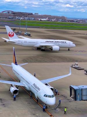 一ノ瀬　あやこの写メ日記｜エル・カーヒル 秘密の刻 吉原高級店ソープ