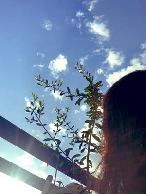 一ノ瀬　あやこの写メ日記｜エル・カーヒル 秘密の刻 吉原高級店ソープ