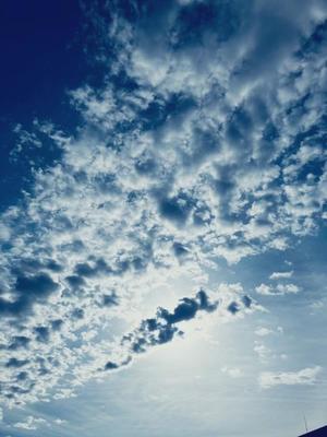 一ノ瀬　あやこの写メ日記｜エル・カーヒル 秘密の刻 吉原高級店ソープ